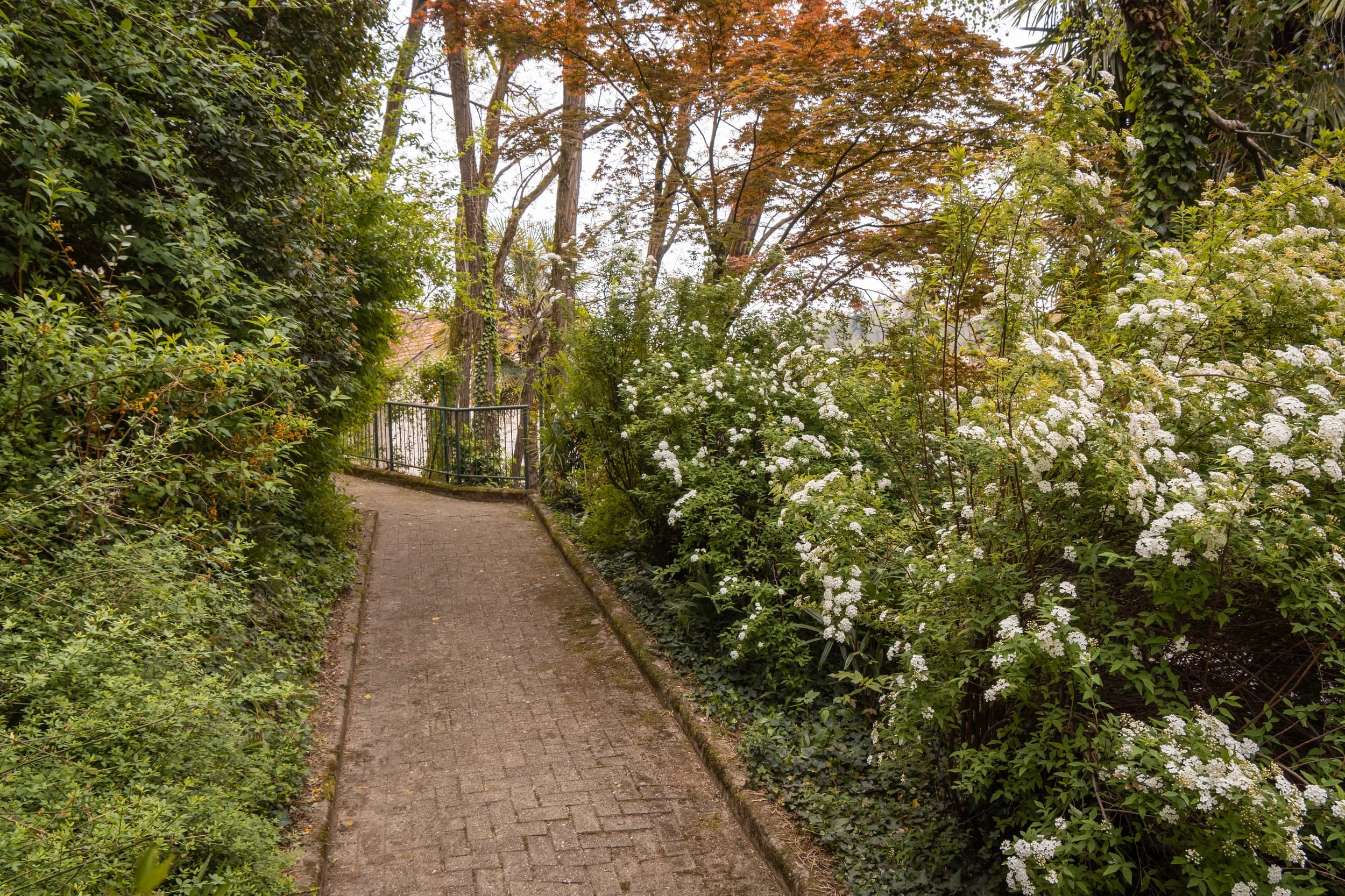 Giardino esterno – Babylandia asilo nido Varese